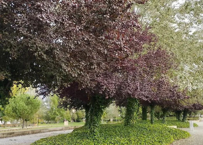 Casa Flor De Mel Lejlighed *